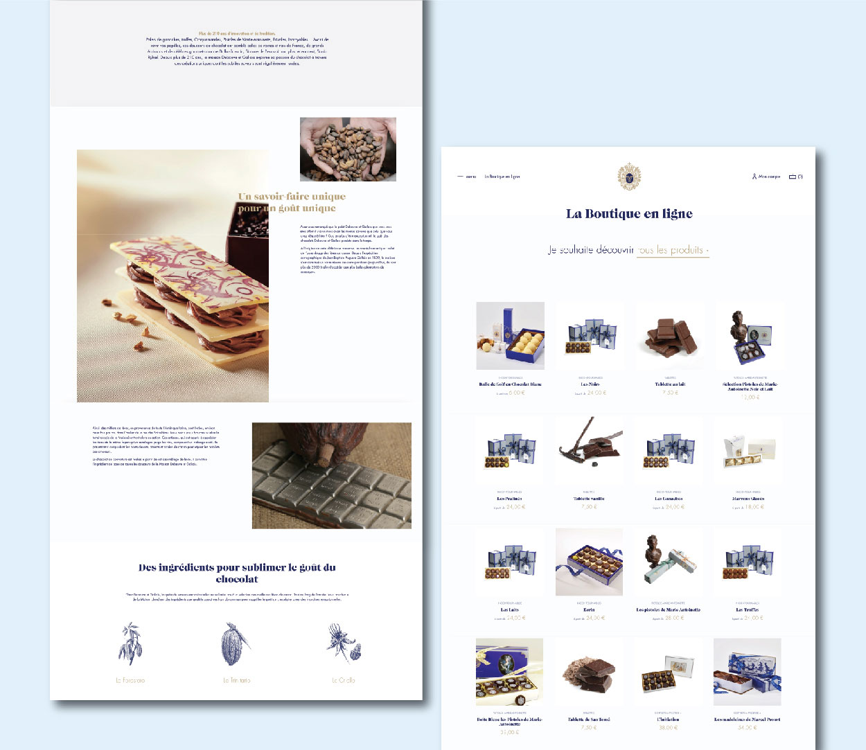 mock-up--opti-porfolio-DeBAUVE-03